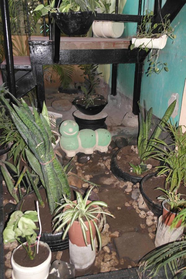 Hostal Nicaragua Guest House Манагуа Экстерьер фото