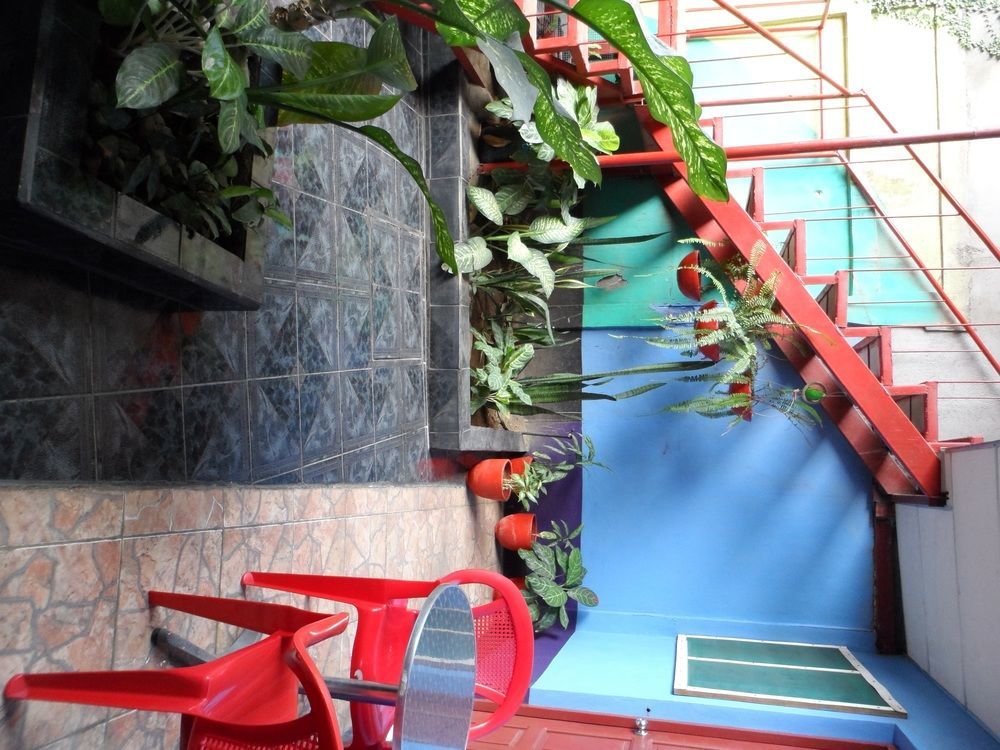 Hostal Nicaragua Guest House Манагуа Экстерьер фото